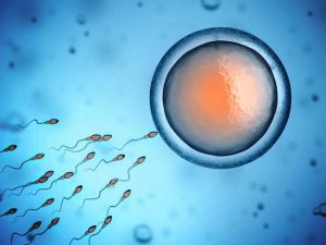 When To Consider Freezing Your Eggs