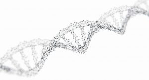 PGT-A & PGT-M testing