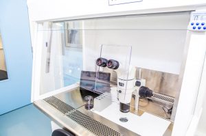 IVF Suite