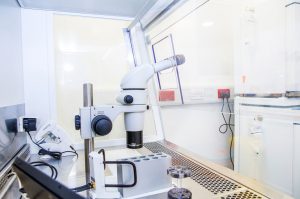 IVF Suite
