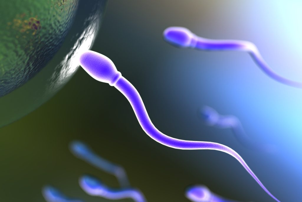 Yes, Men Do Have A Biological Clock (And What You Can Do About It)