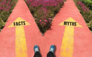 7 Fertility Myths: Fact Or Fiction?