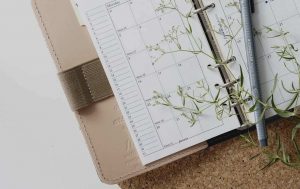 What Happens To Your Hormones During Ovulation?