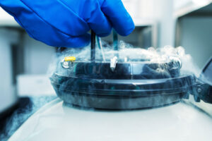 Egg freezing at The Fertility & Gynaecology Academy