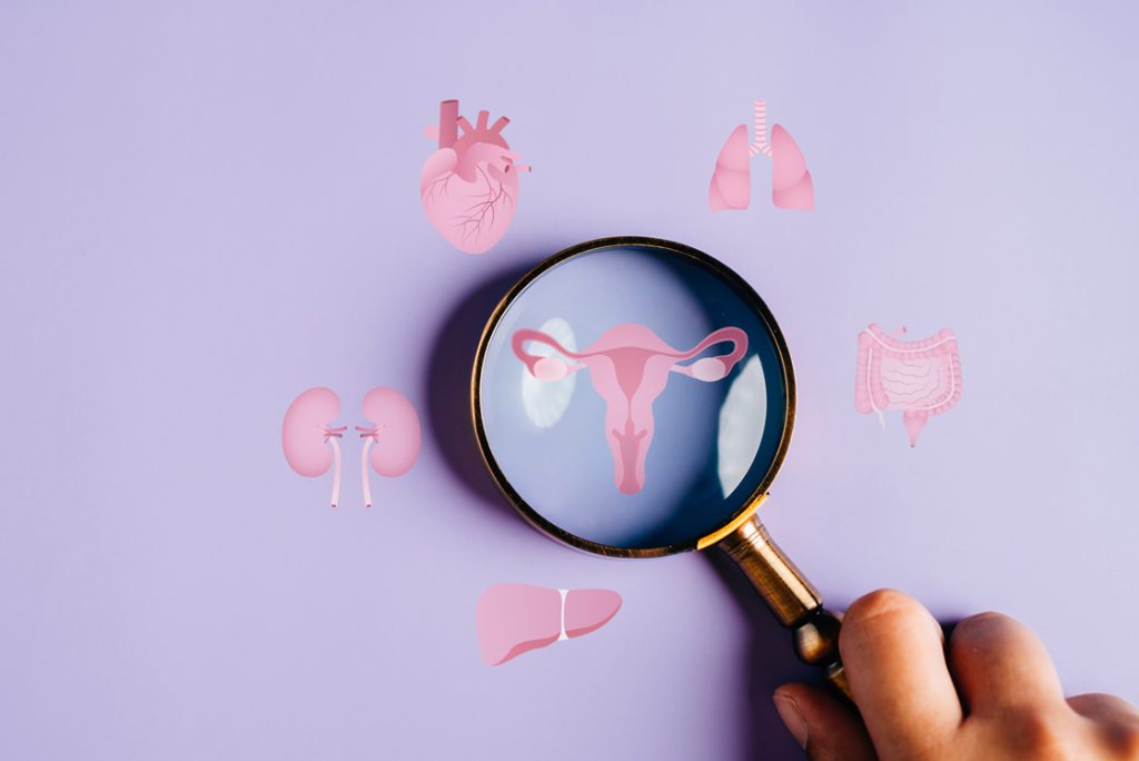 Fertility Testing: What Can It Tell You About Your Body?
