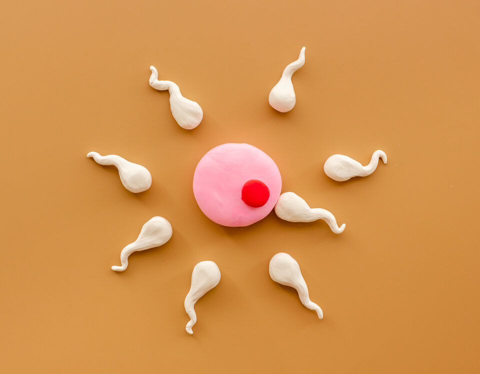 Sexual Health And Fertility: How STIs Can Impact Conception