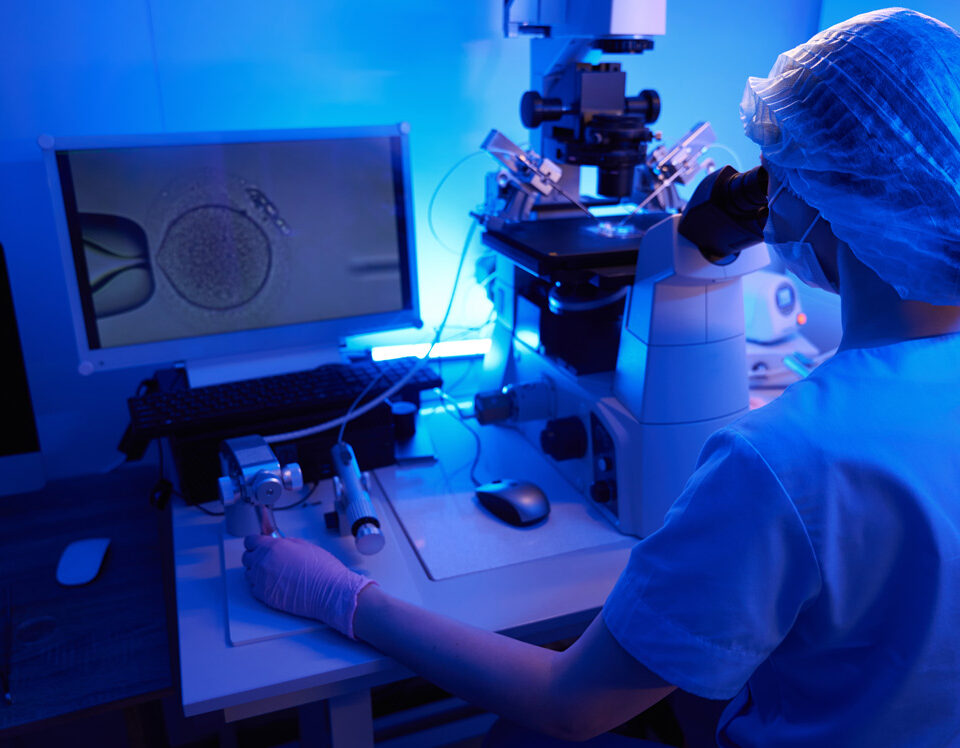 Embryology And IVF Questions Answered By An Embryologist